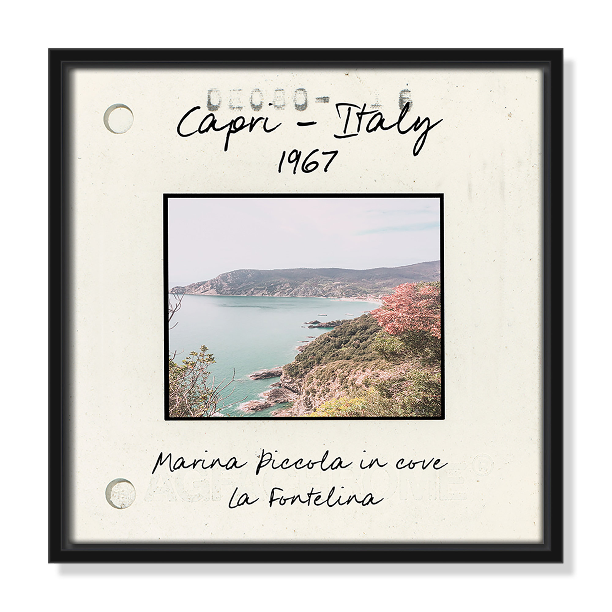 Capri Italy - Marina Picolla in La Fontalina Print by Susan Jill, 13.5" H x 13.5" W x 2" D, Black Floater Framed Canvas