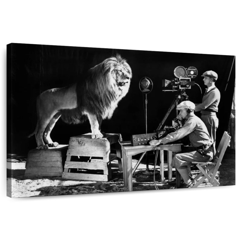 Senne, enregistrement du rugissement du lion de la MGM en 1925, H 16 po x l 24 po
