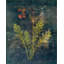 Aroma III Print by Zoey Riley-26939767-26939761