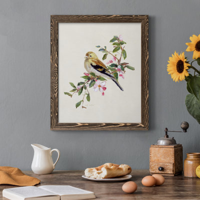 " Spring Song Pine Grosbeak "