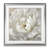 " Perfect Peony "-33349030-33488667