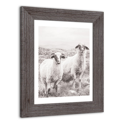 Sheep On Hill, reproduction encadrée