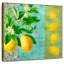Citron citron-109221096