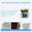 Ensemble de 2 pots de fleurs décoratifs pour l'extérieur 11 "en céramique avec pot de drainage