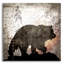 «Calling Bear» par Lightbox Journal, art mural en verre acrylique-1267452288