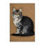  Tapis lavable German Rex Cats-121345721