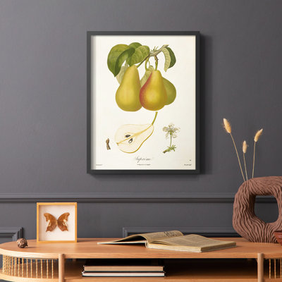 Vintage Pears V Framed Print - Solid Wood