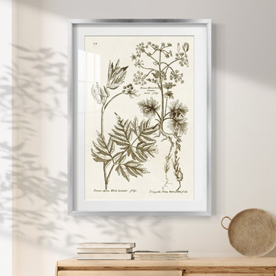 Andromeda -Gallery Wrapped Canvas