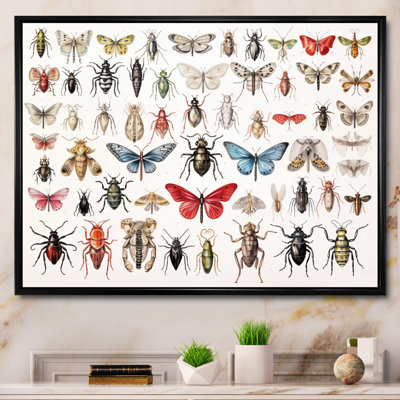«Tiny Insect Wonders II», reproduction sur toile