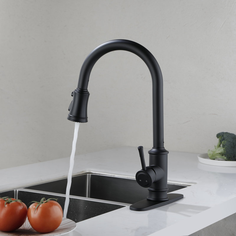 Kitchen Faucet With Pull Out Spraye