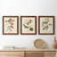 Oiseau de riz Wandering, reproduction d'art sur toile-1813864140-1813864141