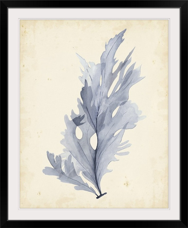 « vi », reproduction d’impression dépilée Watercolor Sea Grass, H 38 po x l 32 po x P 1 po, Cadre noir