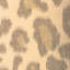 Safari Warp Print-945022494