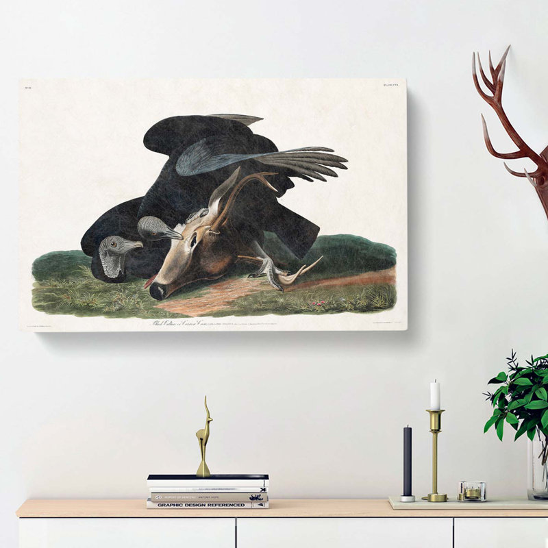 Black Vultures - Wrapped Canvas Painting, 50cm H x 76cm W x 3cm D