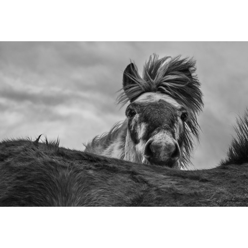 Wrapped Canvas Print, 76.2 cm H x 50.8 cm W
