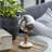 Plastic Educational/Geographic Earth Globe with Marble Base-27853189