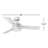 Peppadew 44'' Ceiling Fan with LED Lights-58697473