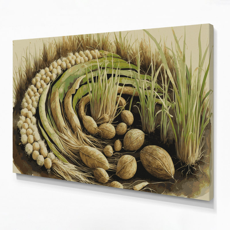 Vegetables Tiger Nut Brown Canvas Wall Art, 11" H x 14" W
