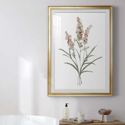 " Dainty Botanical I "