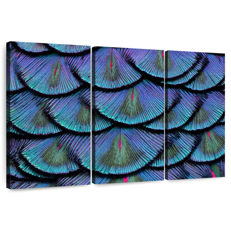 Peacock Tail Feathers, 14" H x 23" W