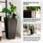 Pot Planter-1456583735