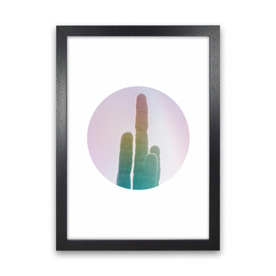 Circular Cacti - Print