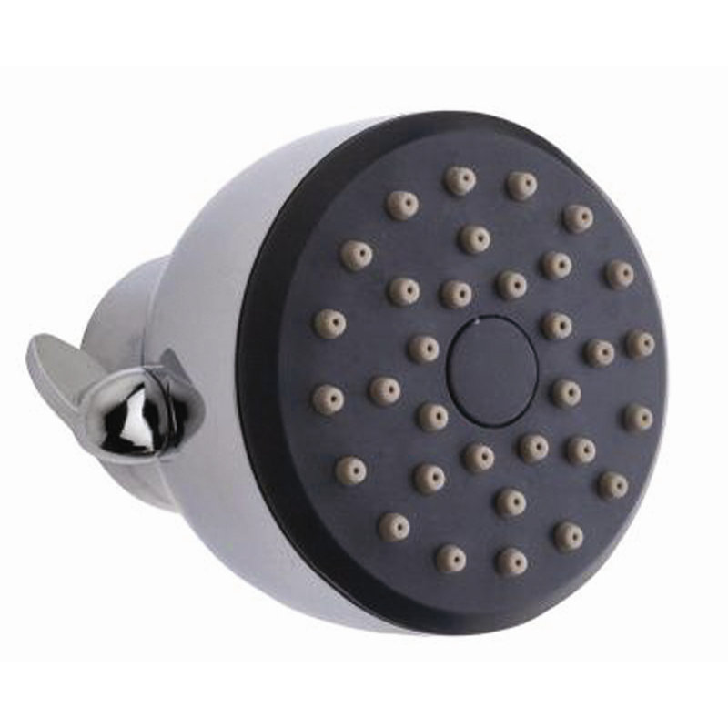 Pomme de douche Pfister en chrome poli
