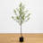 Olive Artificial Tree