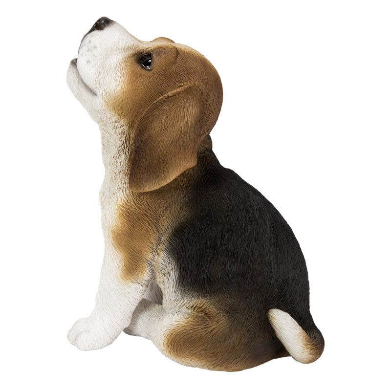 Beagle Puppy Howling