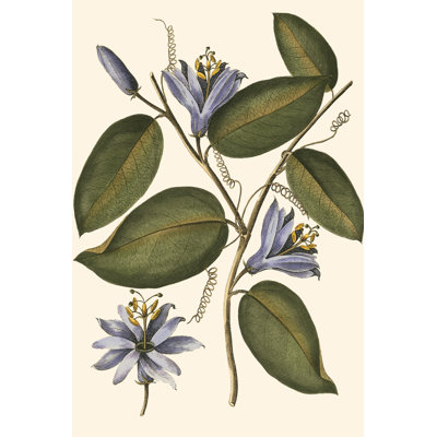 Lavender Floral III - Painting Print