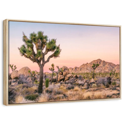Joshua Tree Patch