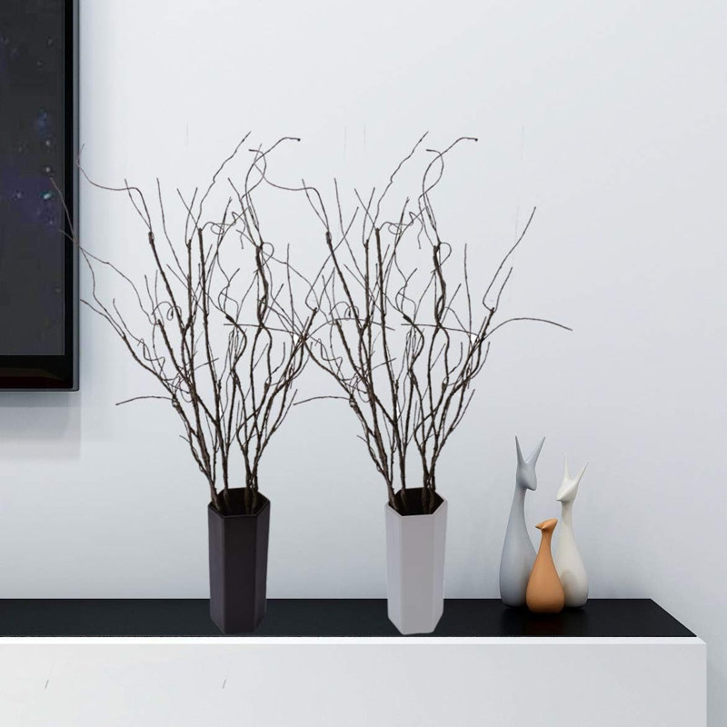 Curled willow branches decoration