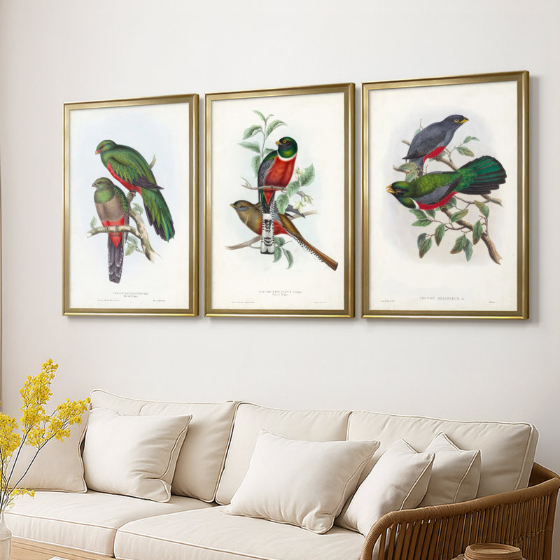Gould Tropical Birds I - Toile tendue avec châssis sur mesure - 3 pièces, H 19 po x l 27 po, Doré