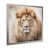 Silver Single Picture Framed
