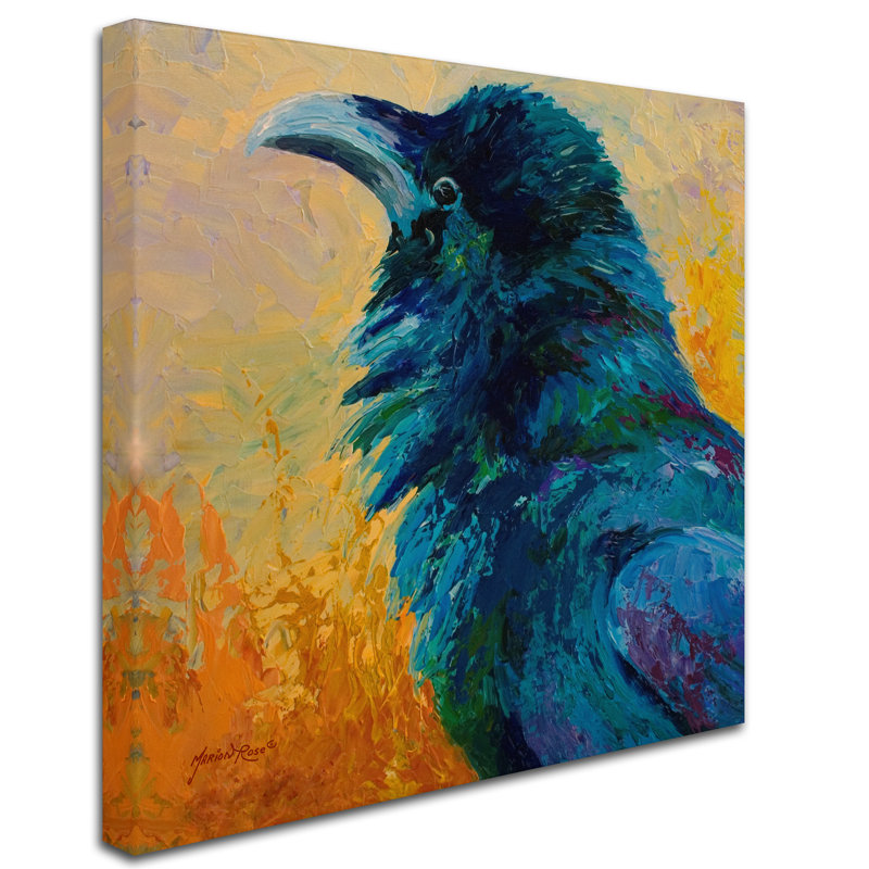 Kucera 'Crow Study' Print on Wrapped Canvas, 18" H x 18" W