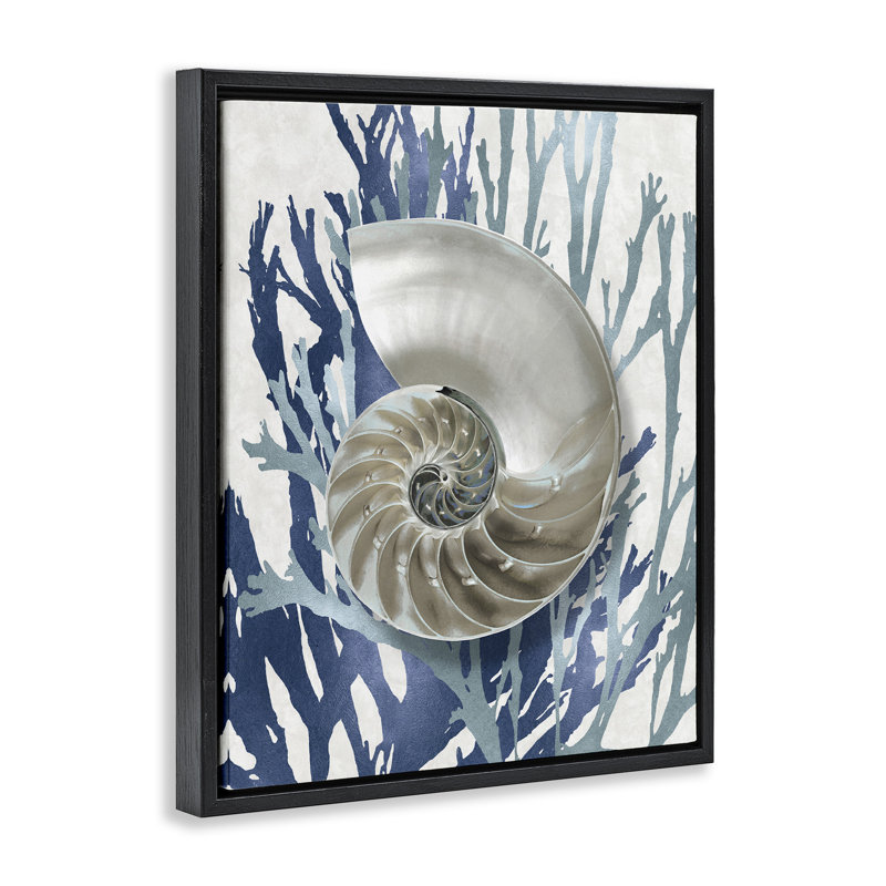 «Shell Coral Beach Blue Design Brown Grain» par Caroline Kelly, H 17 po x l 21 po, Cadre flottant noir de jais