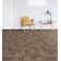 19.7'' W x 19.7'' L Multi Level Loop Polypropylene Carpet Tile