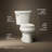 Wellworth 1.28 GPF Water Efficient Round Two-Piece toilet (Seat Not Included)-10980016-101431274
