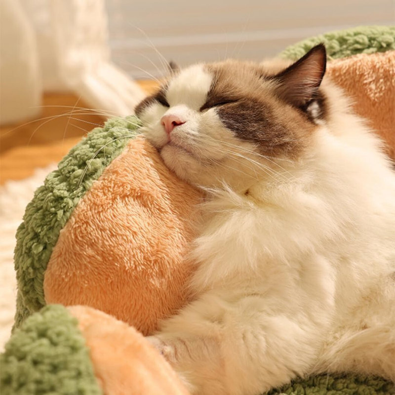 Lit pour chat en forme de cactus, Petit (L 26,62 po x l 23,62 po)