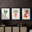 Organic Veg II - impression encadrée de qualité supérieure sur mesure mat - 3 pièces-504725490-504725488