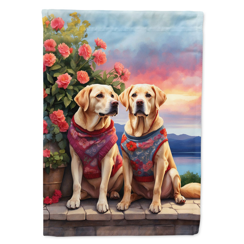 Double Sided 40'' H x 28'' W Polyester Valentine's Day House Flag