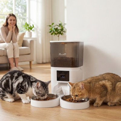 Automatic Feeder