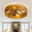 Adiyan 19'' Ceiling Fan with Light Kit