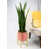 Pink/Beech Natural is unavailable