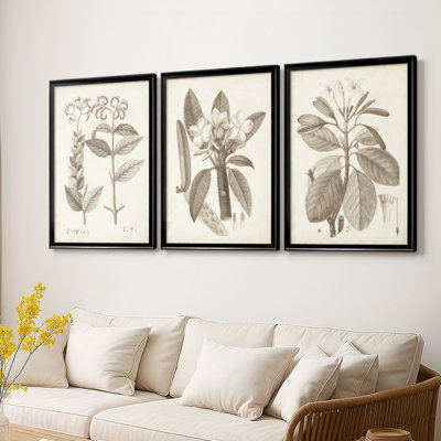 Antique sépia botanicals VI - Toile tendue avec châssis sur mesure - 3 pièces