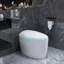 Toilette intelligente allongée en forme d'œuf avec siège de bidet, ouverture et chasse automatique, siège chauffant ajusté, eau chaude et sécheuse, veilleuse, boutons latéraux-122285869
