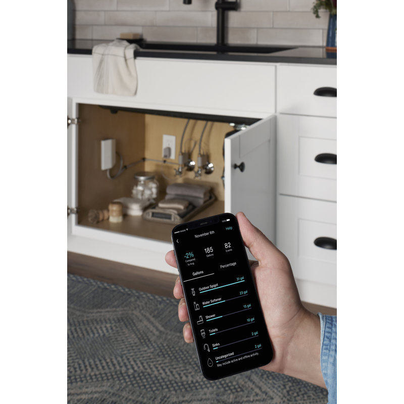 H2wise Smart Home Water Monitor