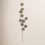 Pine Cone Stem