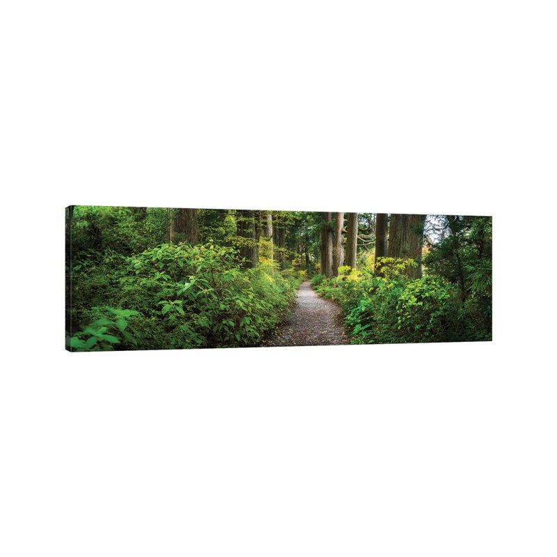 Ancient Cedar Avenue Between Moto-Hakone and Hakone-Machi, Hakone, Japan 1 Piece Wrapped Canvas Panoramic Wall Art