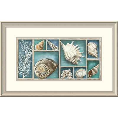 " Collection Of Memories "